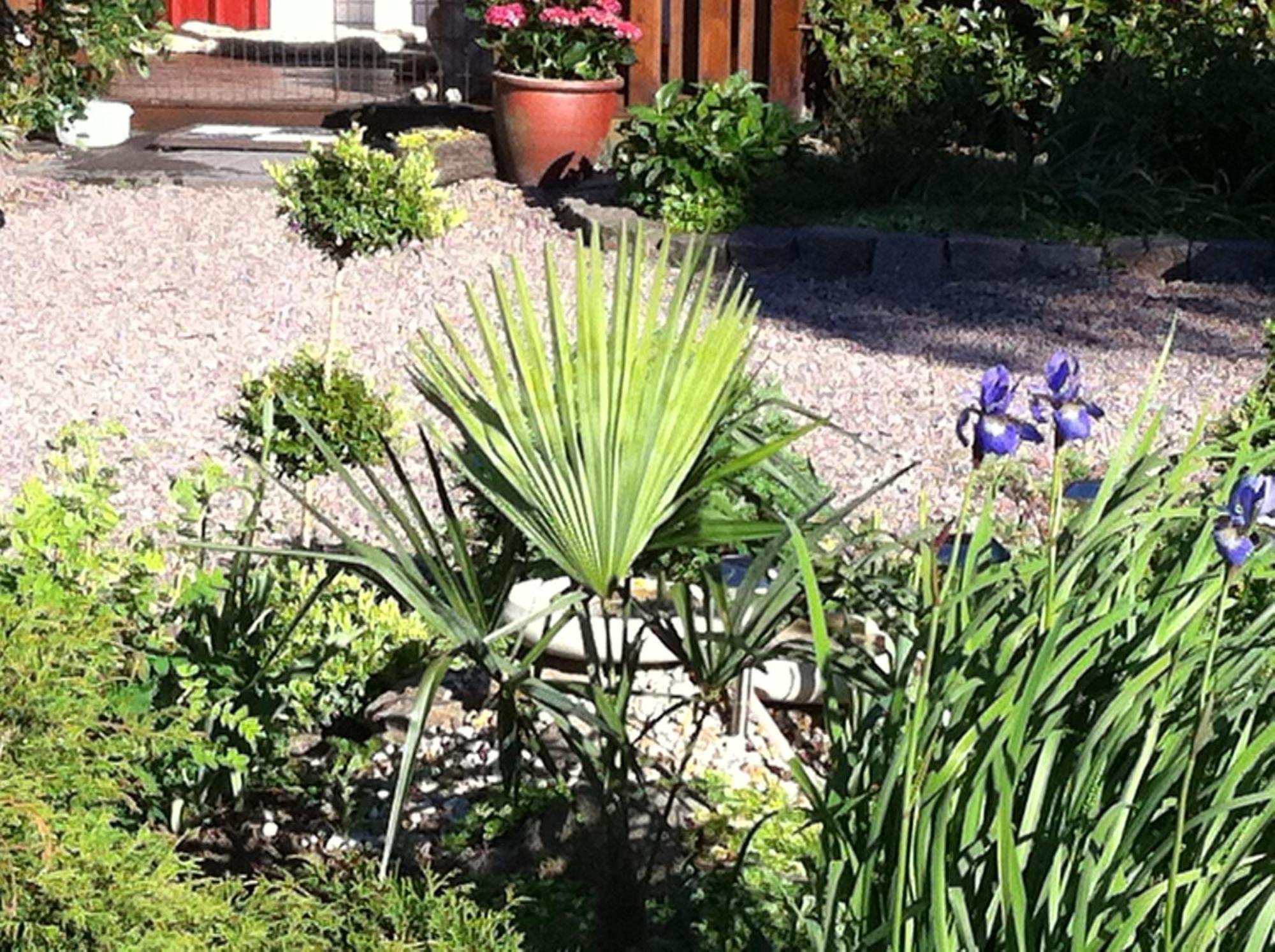 Mattisgarden Bed & Breakfast Östra Ljungby Kültér fotó
