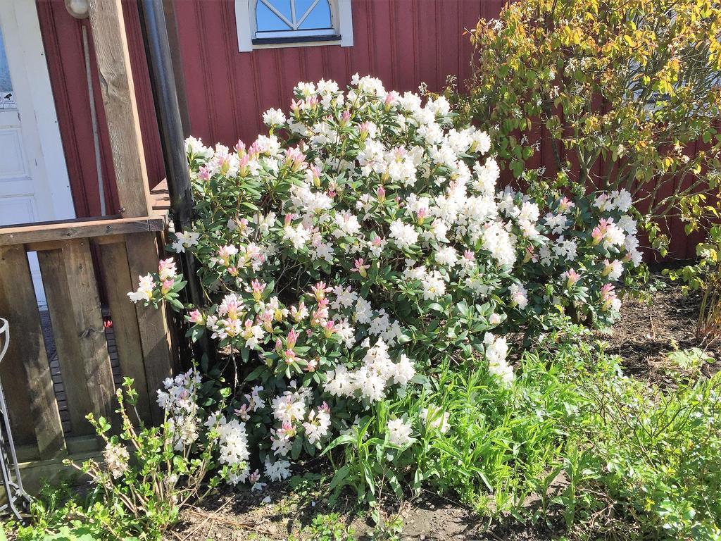 Mattisgarden Bed & Breakfast Östra Ljungby Kültér fotó