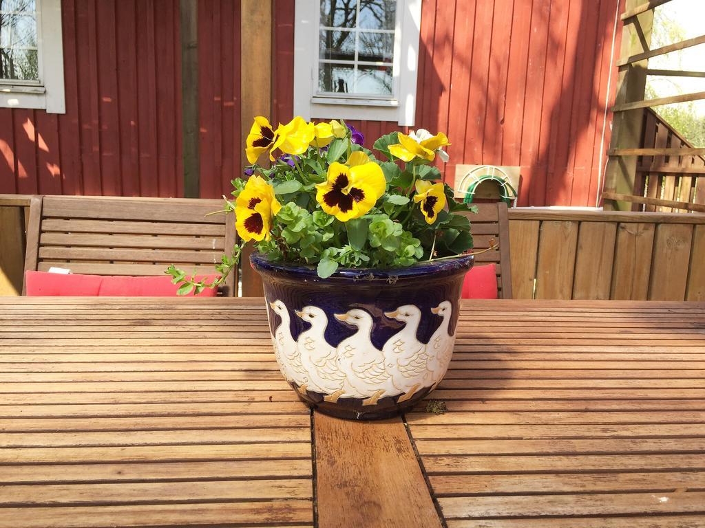 Mattisgarden Bed & Breakfast Östra Ljungby Kültér fotó